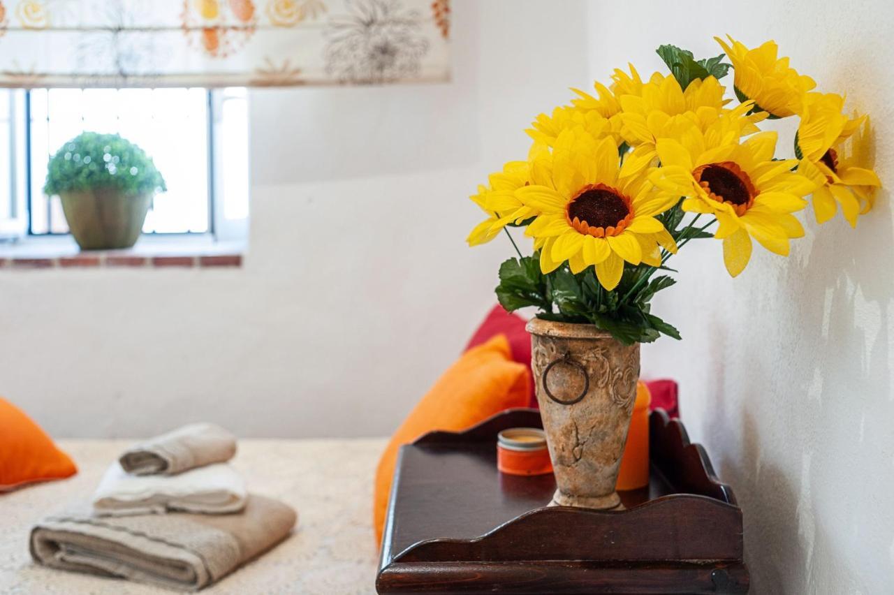 Apartamento Los Girasoles Вехер-де-ла-Фронтера Екстер'єр фото