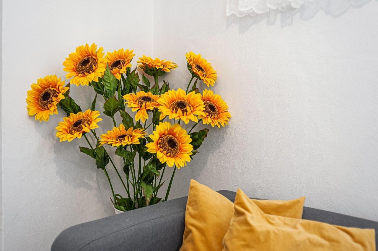 Apartamento Los Girasoles Вехер-де-ла-Фронтера Екстер'єр фото